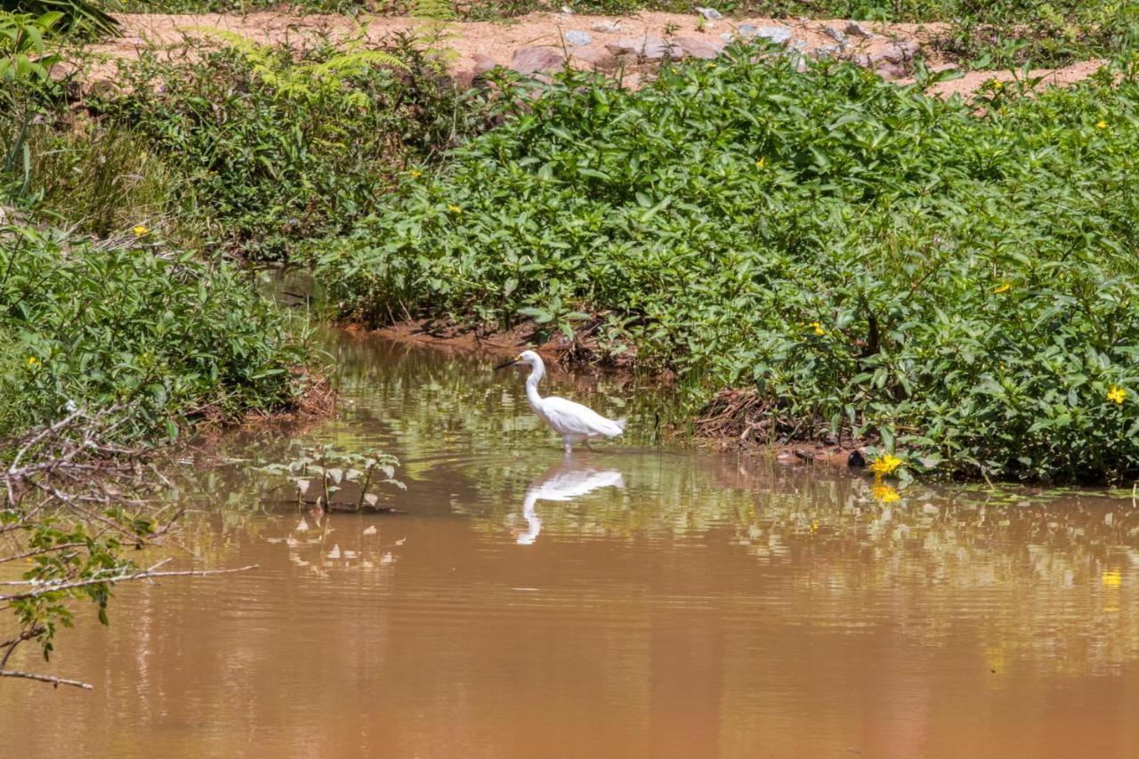 Villaggio Serra Da Cantareira Mairiporã Eksteriør billede